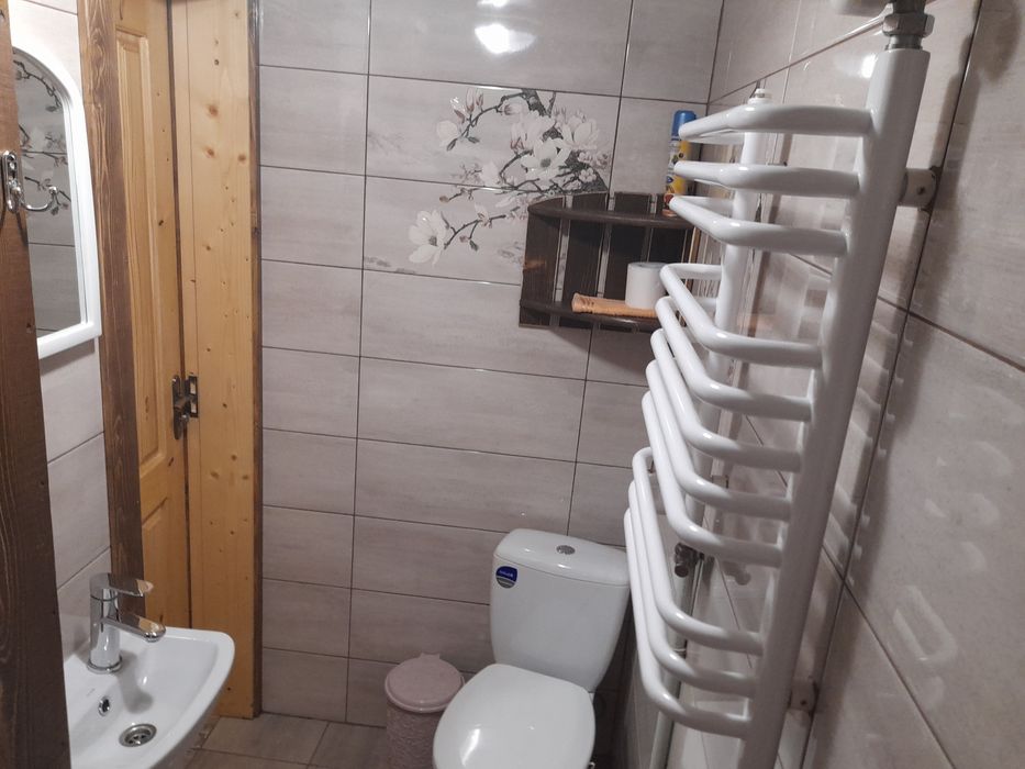 Оренда котеджу неподалік лісу та гір в Карпатах