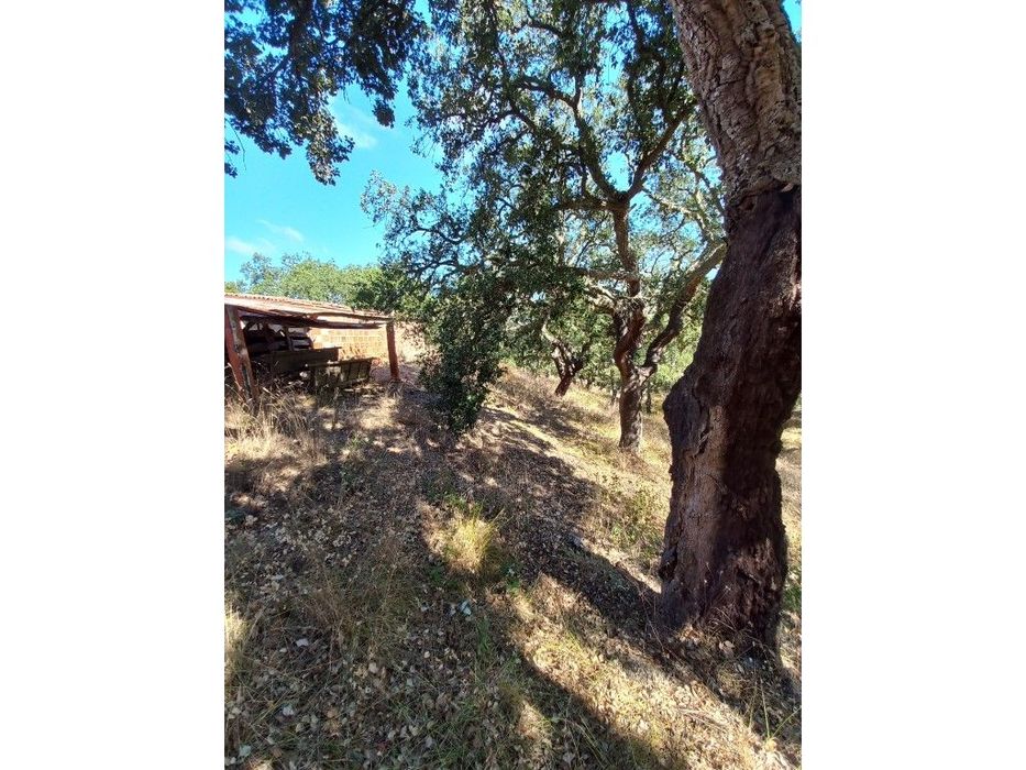 Terreno em são Francisco da Serra — São Francisco da Serra, Setúbal