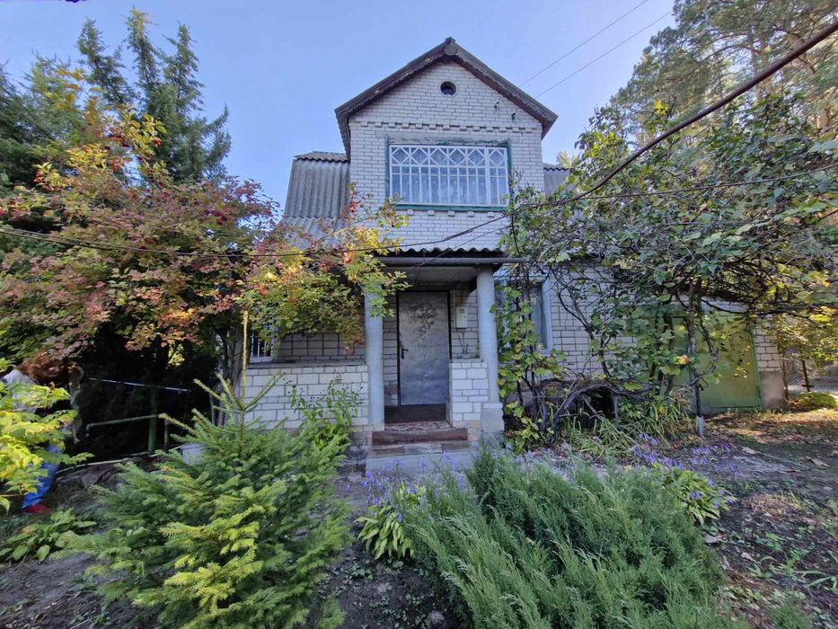 Продам дачу в Жеребятині!під лісом!