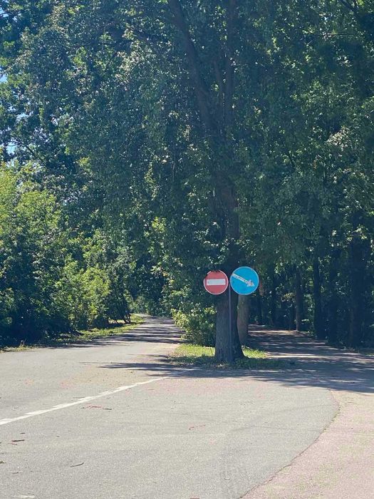 Без % Продаж унікальної ділянки 53 сотки, біля дороги в оточені лісу с. Гвоздів, Обухівський р-н