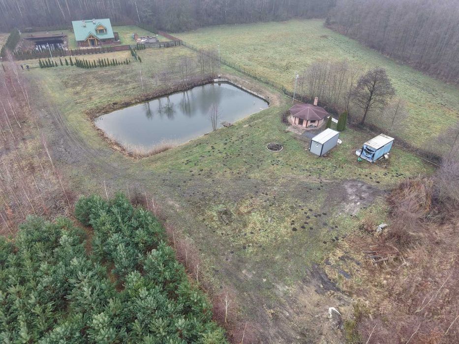 Działka Budowlana * Staw * Rostarzewo Głodno Rakoniewice