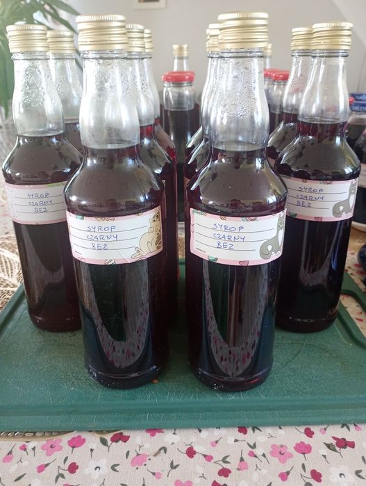 Syrop z owoców czarnego bzu 0.5 litra x 4