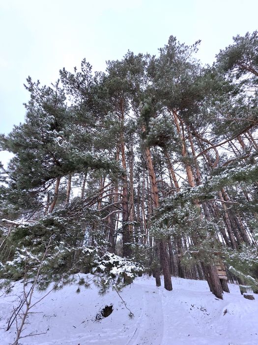 Ціну знижено! Дуплекс 104 м2