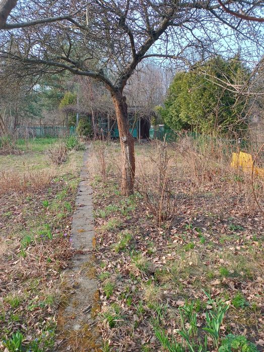 Sprzedam ogródek działkowy ROD 300 m² Grodzisk Maz.  na terenie ROD " Mazowiecki Sad " ul. Bałtycka. - View 6