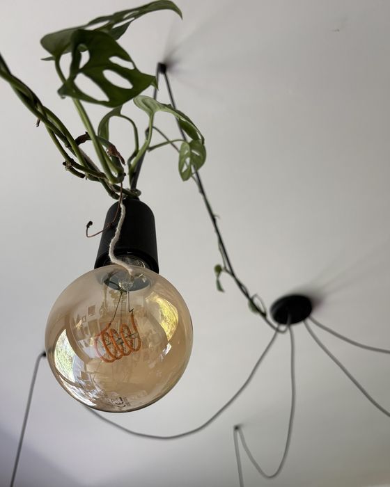 Zestaw Żyrandol pająk i kinkiet