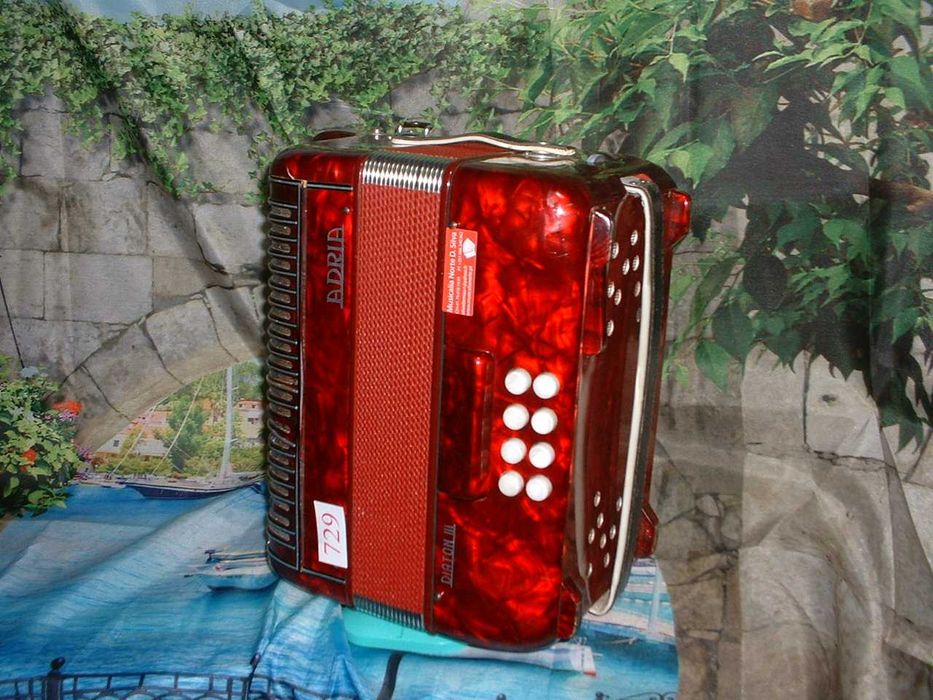 Concertina a venda n.729