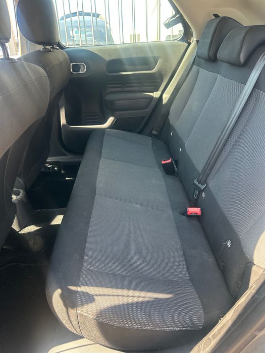 Citrien C4 Cactus