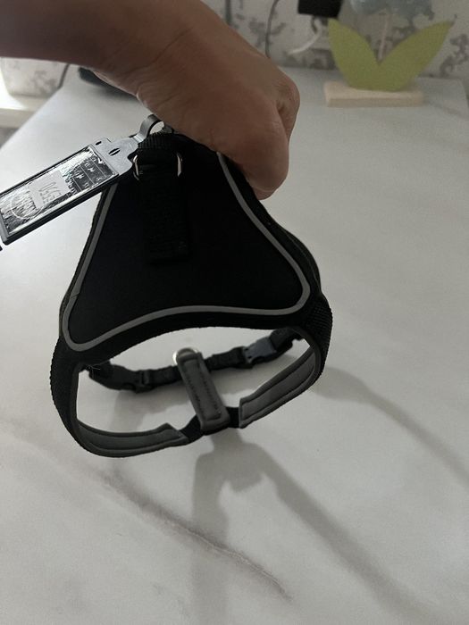 Шлейка и поводок