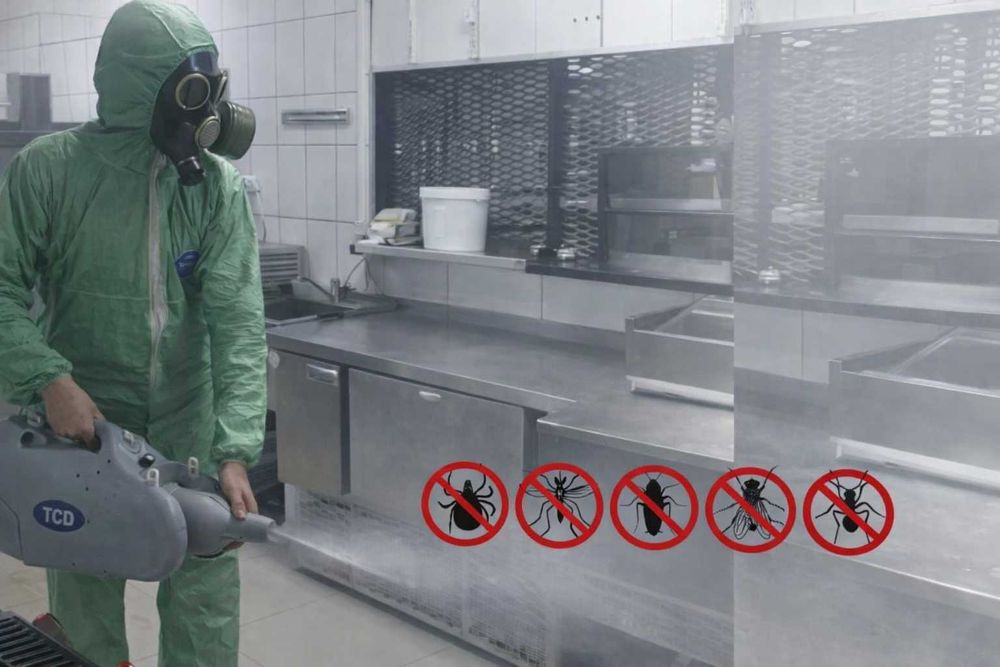 Уничтожение тараканов клопов грызунов Срочный выезд без выходных