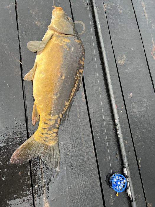 Летняя мормышка  Lumo Green  Світлонакопичувальні флюрисцентні