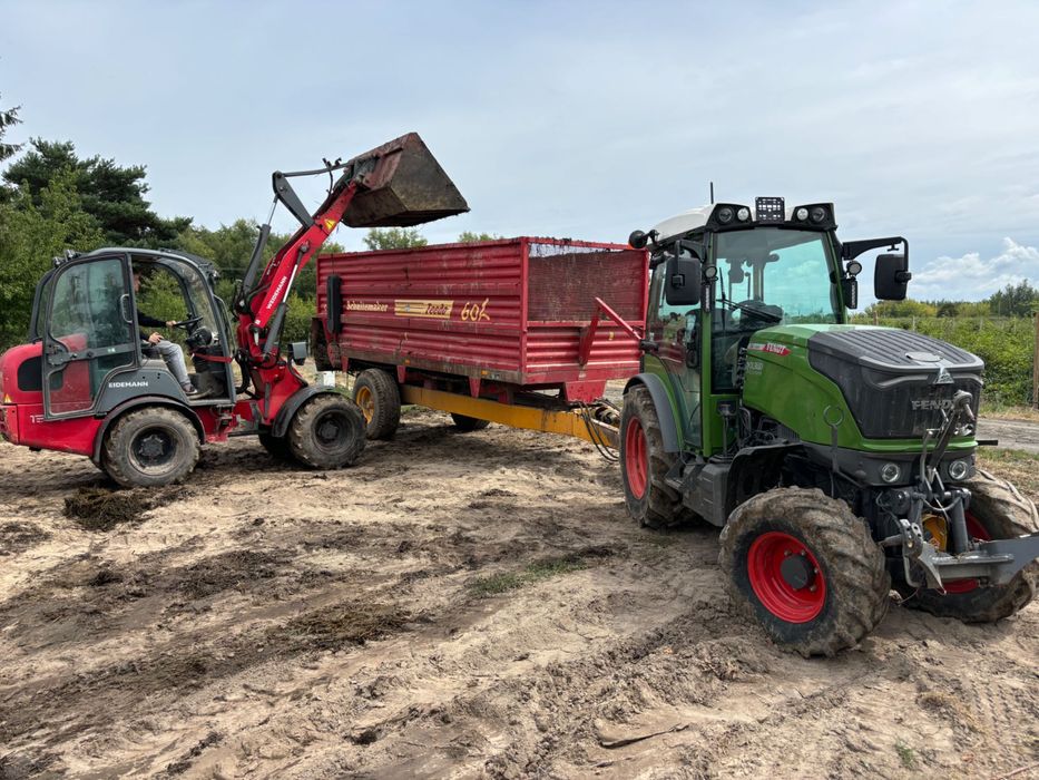 Torf Litewski do Borówki torf kwaśny luz ruchoma podłoga Borówka berry