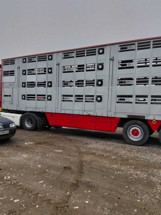 Pezzaioli SBA63 полуприцеп для перевозки животных