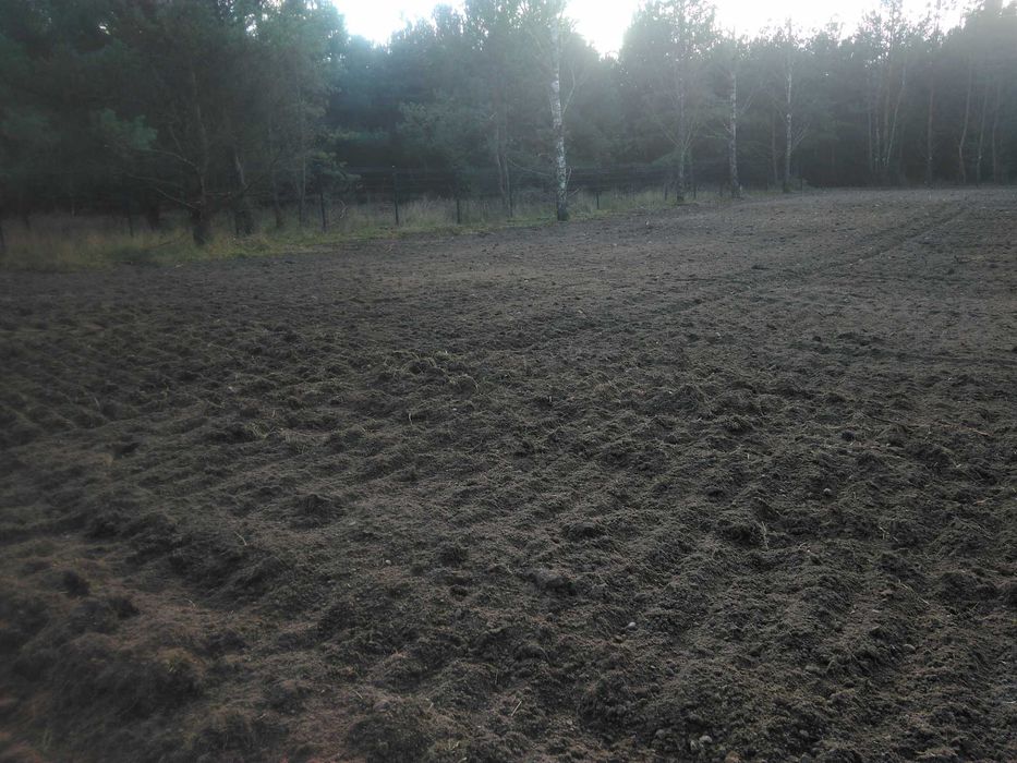 Wycinka drzew, usuwanie nieużytków, koszenie, usługi glebogryzarką.