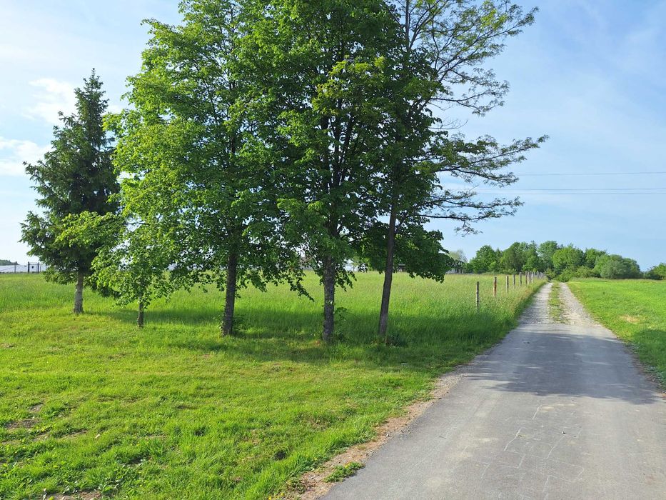 Atrakcyjna działka budowlana na sprzedaż – Harklowa, gm. Skołyszyn - Więcej