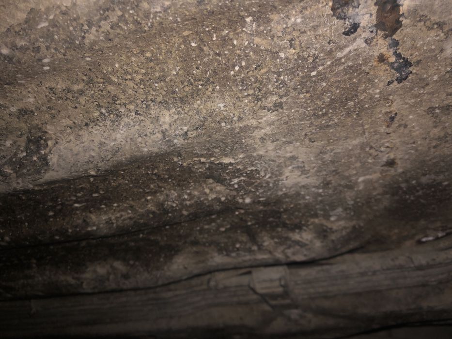 Продам honda civic 5 в нормальному стані