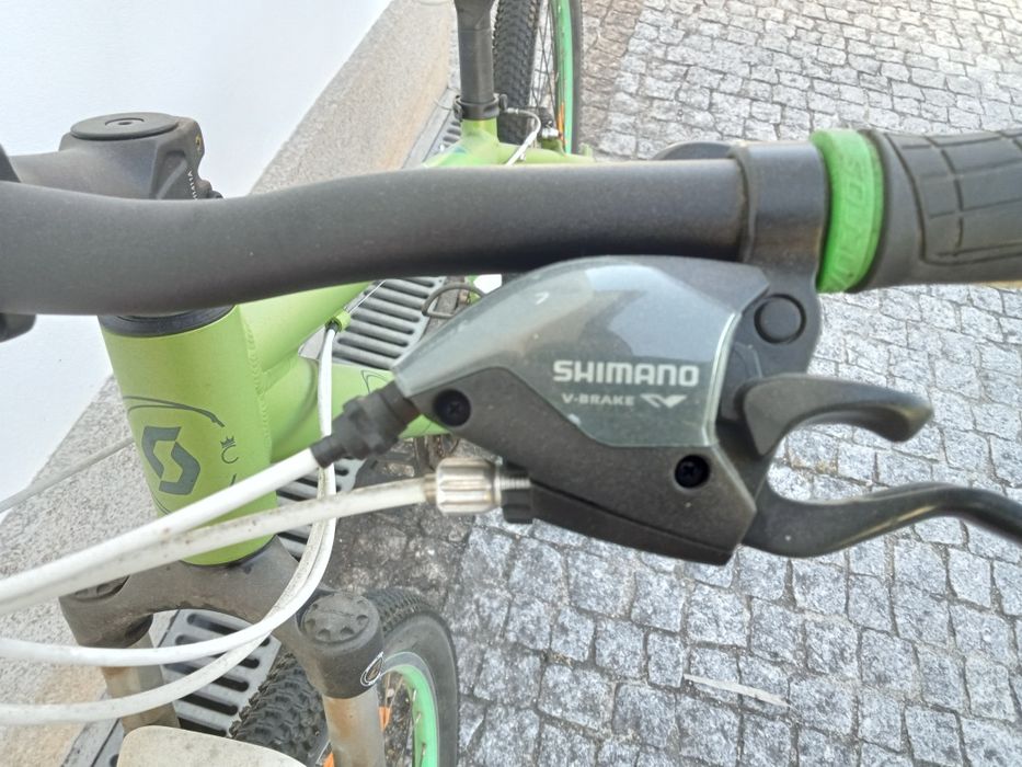 Bicicleta de montanha