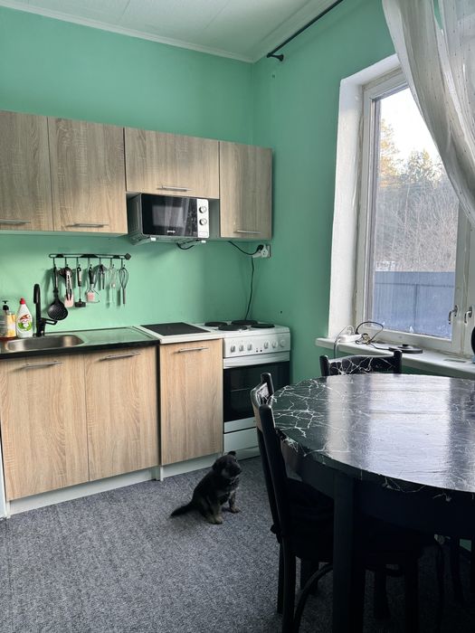 Продаю дачний будинок