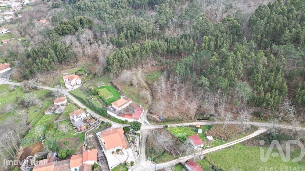 Terreno para construção em Espinhal