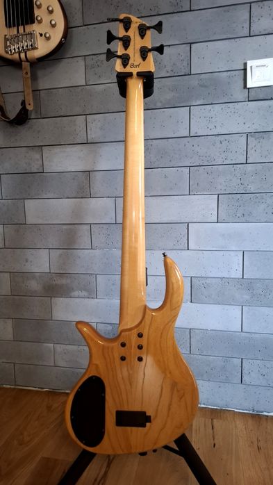 Elrick Cort Evo RB5, bas 5 strun