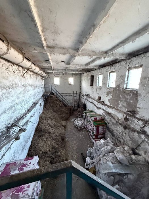 Продам Производство Помещение 1283м2 Земля 84 сот Васильевка Днепр обл