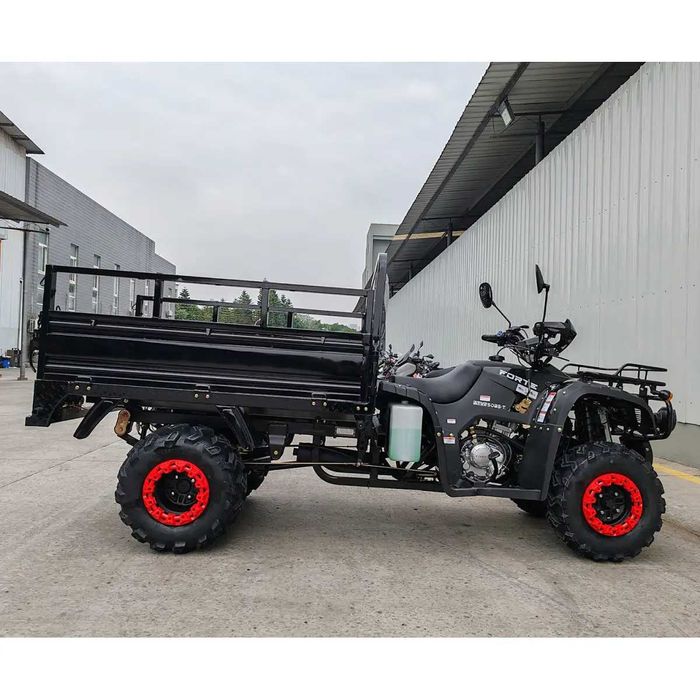 Квадроцикл вантажний FORTE ATV-250BS-T