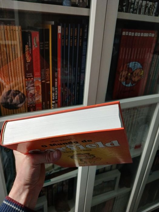 O mundo de Garfield - Banda desenhada