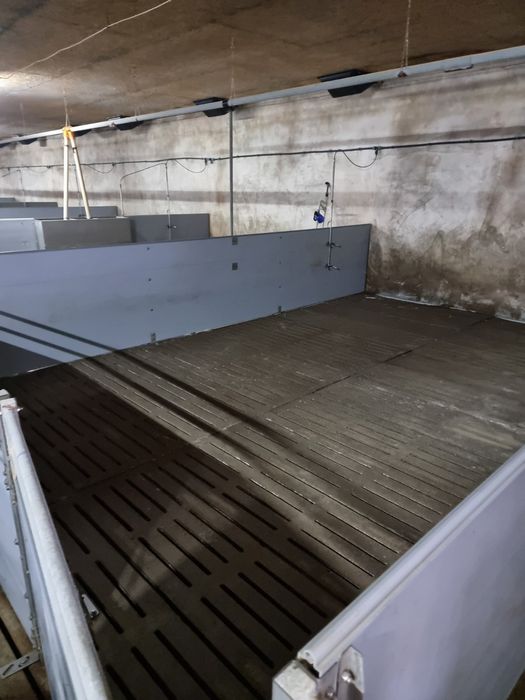 Продам сучасне підприємство свинофермуму