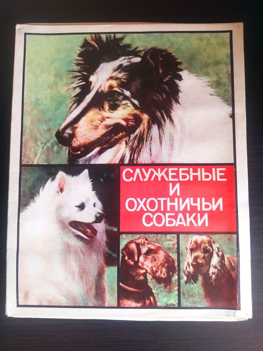 Спички. Служебные и охотничьи собаки. Сувенирные