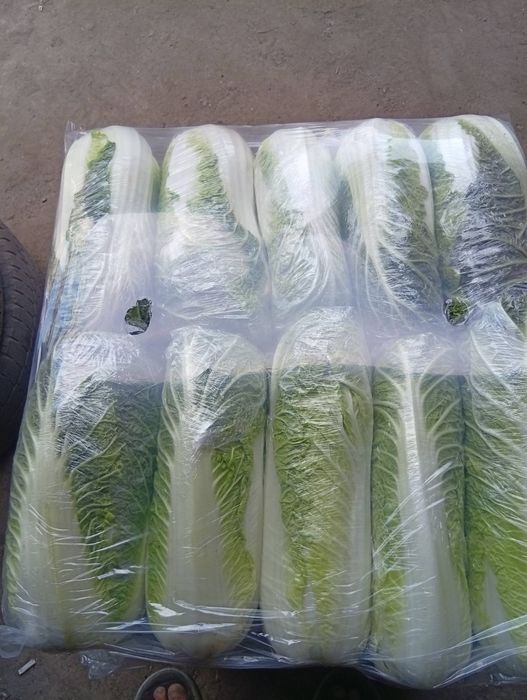 Продам пекінську капусту
