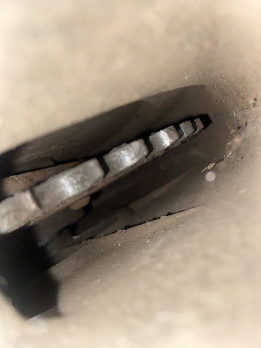 Улитка на иж планета