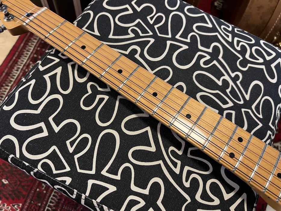 Fender Standard Telecaster MN Artic White