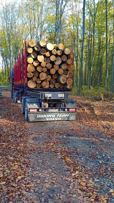 Suche drewno opałowe/kominkowe z transportem