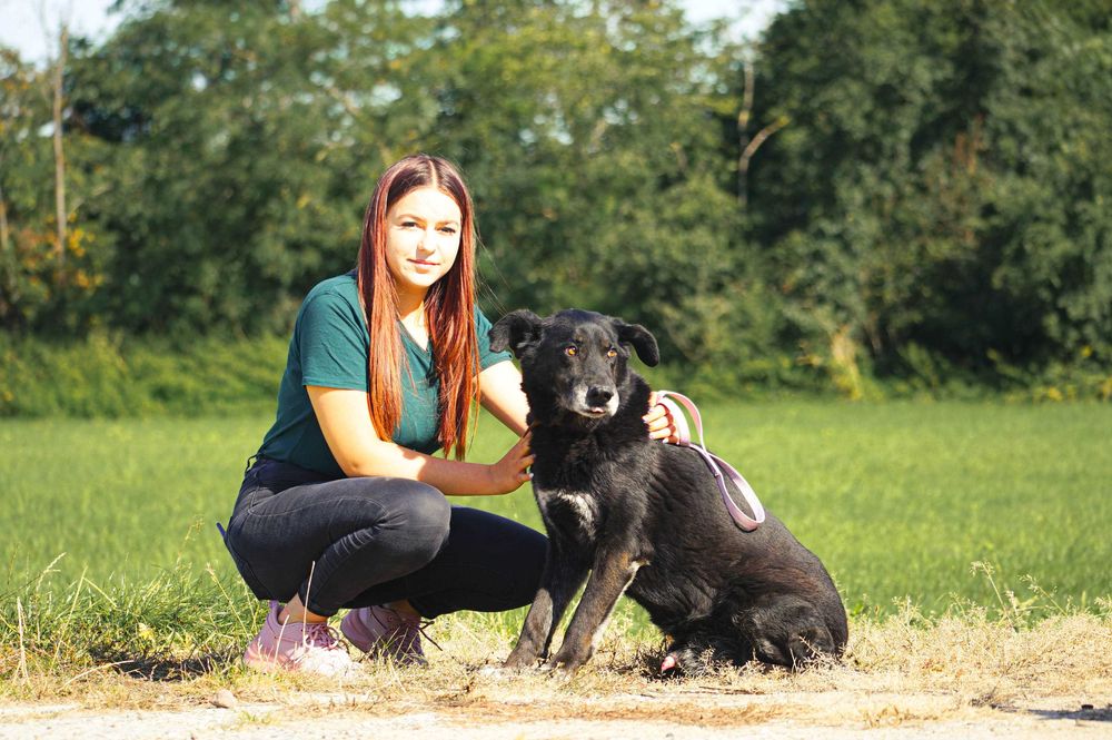 Baton - psiak w Wojtyszek szuka domu