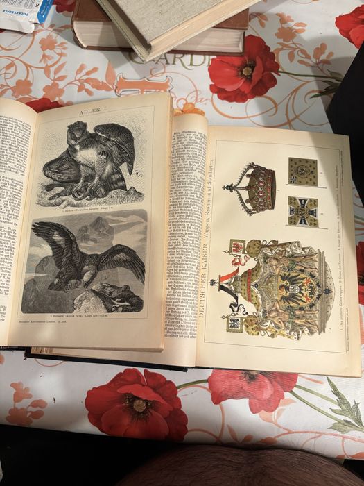 Старые немецкие книги 1894 год