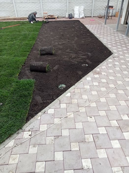 Рулонні Газони,озеленення ділянки. Обрізка дерев, формування крони