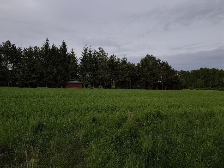 Działka rekreacyjna malownicza okolica - Widok 2