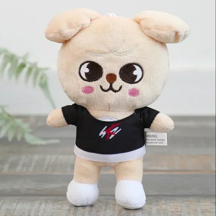 【売約済】skzoo×アイエン×hollow Іграшки Stray Kids, Skzoo: 200 грн. - Мягкие животные Киев на Olx