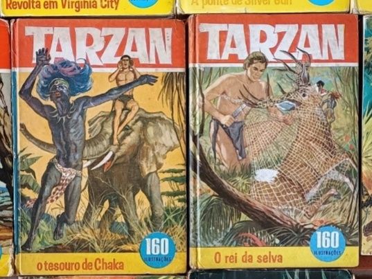38 Livros Tarzan de diversas coleções