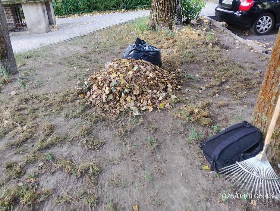 Sprzątanie koszenie trawy grabienie działki place domy