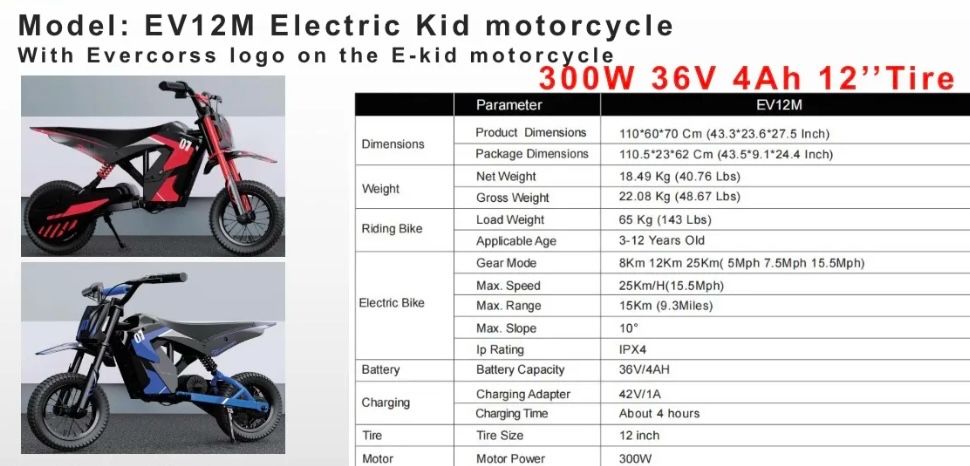Mota electrica criança ev12m 36v 300w