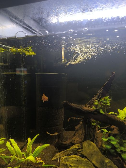 Akwarium 112l Aquael +akcesoria