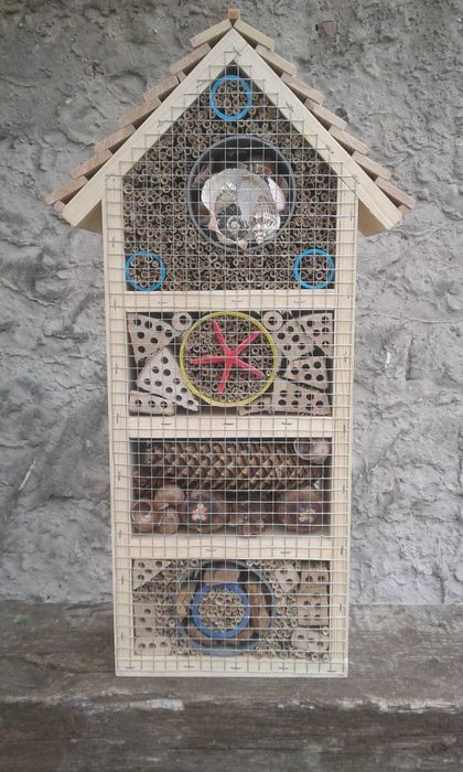 pszczoła murarka rogata ul domek dla owadów zapylających