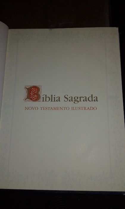 Livro Bíblia Sagrada + terços