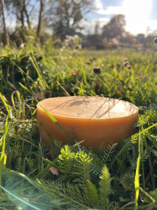 Віск бджолиний