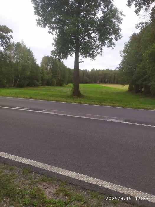 Sprzedam grunt 2,2825 ha przy drodze krajowej  nr.60