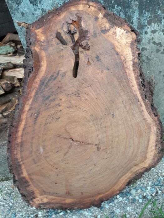 Rodelas de carvalho nacional