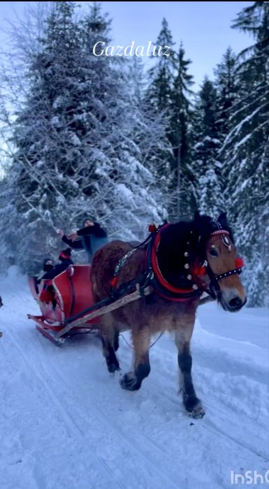 Kulig w Gorcach , biesiada, oprawy kulinarne w regionalnym stylu