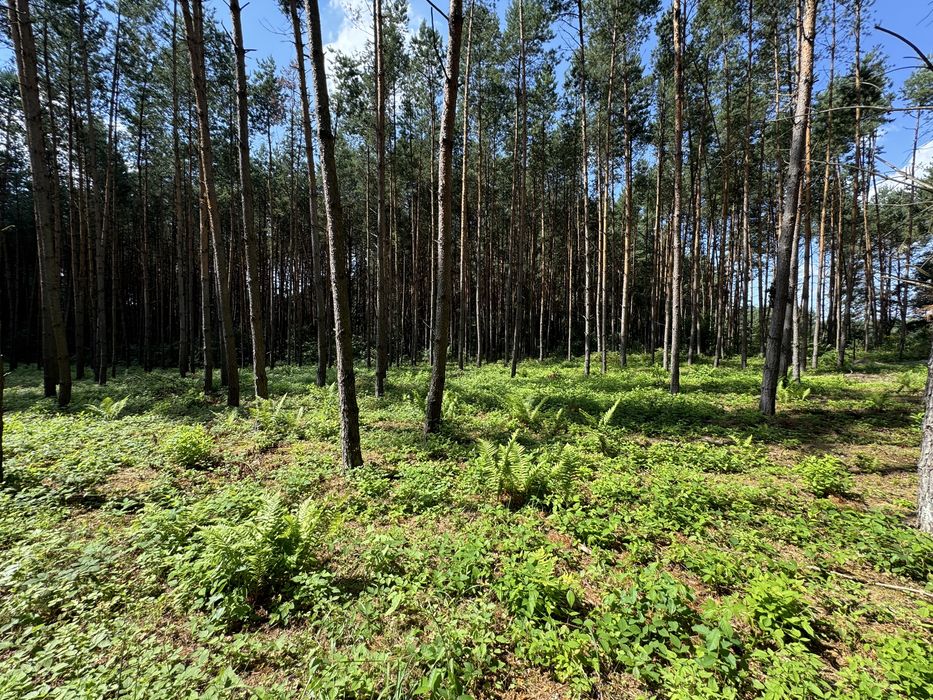 Działka budowlana jezioro Chańcza