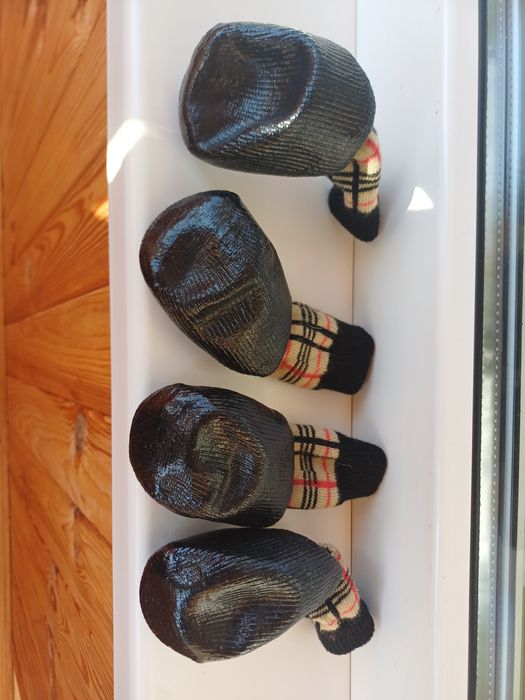 Продам Обувь для собак