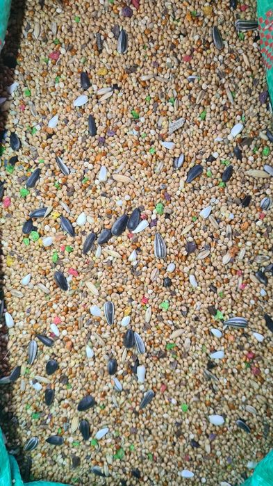 Mieszanka dla papug małych ze słonecznikiem 20kg 55 zł.